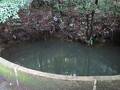 揺ヶ池