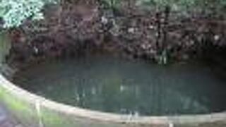 揺れている？揺れてない？