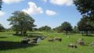 水辺を持つ広い公園は羨ましかったです。