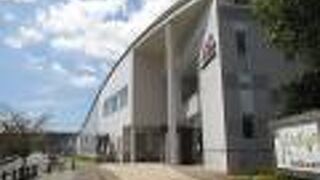 残念、休館中でした。