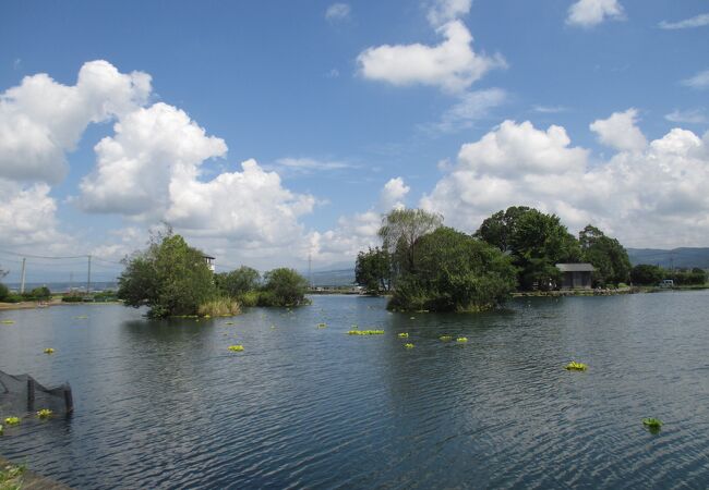 小振りな浮島池ですが、湧水量は約１５万トン／日だそうです。