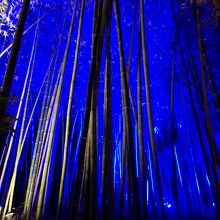 京都 嵐山花灯路