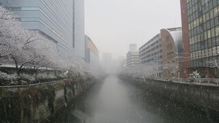 雪景色の目黒川