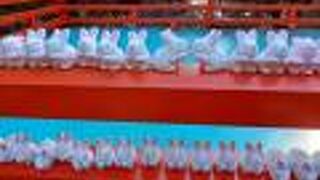 かわいいウサギがいっぱい！