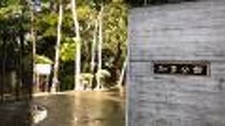 庭園も美しい！