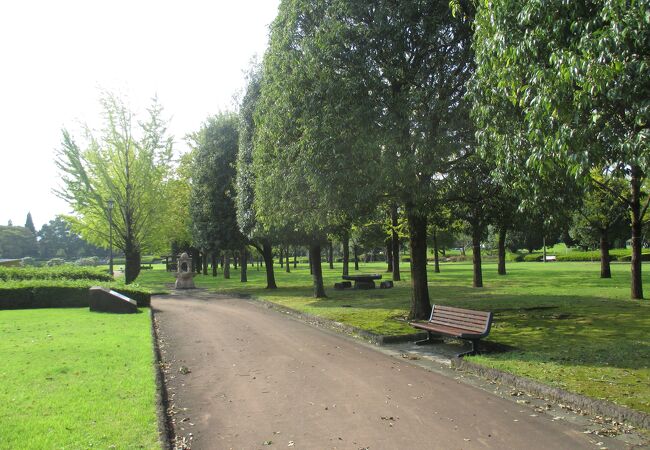 緑が鮮やかな公園でした。