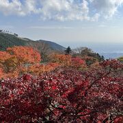 箱根よりも高い山が連なる