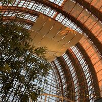 レストランの天井