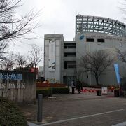 観覧車と水族館がシンボル的な公園