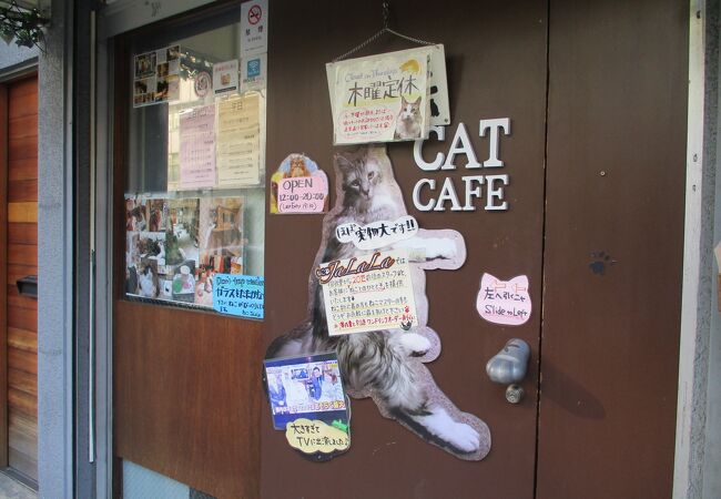 猫カフェです