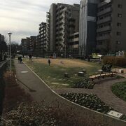 縦長に長い公園