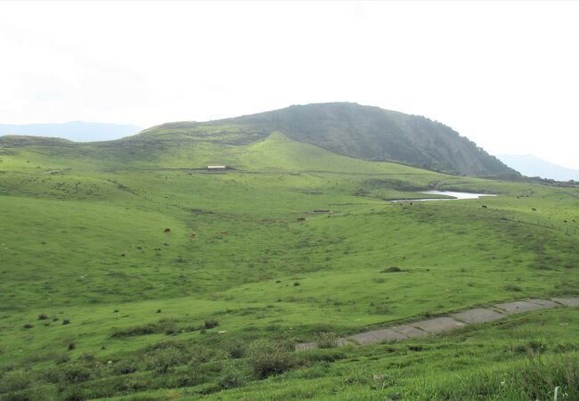 阿蘇の中央山塊の１番西端となります。