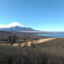 パノラマ台の少し上からの眺めです。