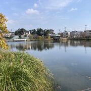 須磨寺の脇に池、背後に温泉旅館