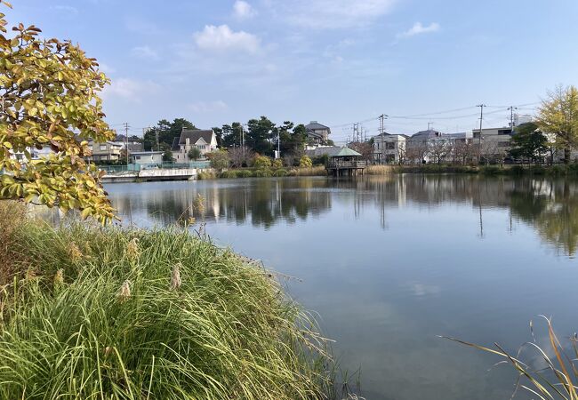 須磨寺の脇に池、背後に温泉旅館