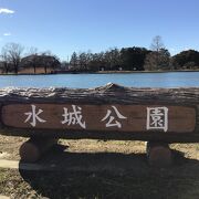 行田市の市民公園というイメージです。