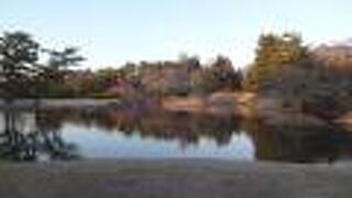 入館無料です。お気軽にお入りください。と入口に書いてありました。