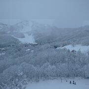 樹氷で有名なビッグゲレンデ！広すぎるがゆえの弱点も···(蔵王温泉スキー場)