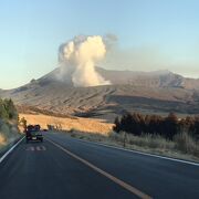 火山行けず残念