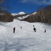 ハンの木コース上部