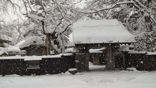 雪が幻想的です