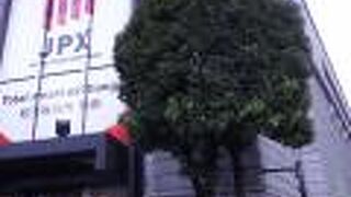 自由見学は中止になっています。