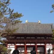 この門から東大寺の中に入ることはできません。