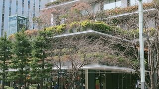 道路の反対側からは、角度によっては樹々に隠れてしまうことも有ります