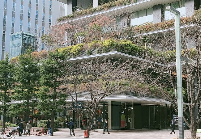 道路の反対側からは、角度によっては樹々に隠れてしまうことも有ります