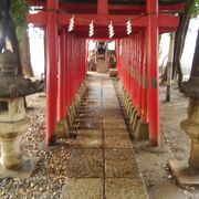 花園神社内