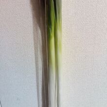 お百姓市場のネギ