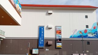 さかなクンのマンホールカード