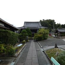 真宗院本堂と境内