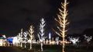 てんしばのイルミネーション