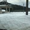 野生の猿も目撃、琵琶湖一周の出来る乗換え駅　