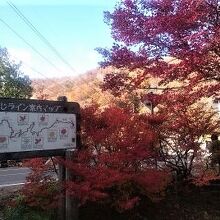 シーズン後半だったが紅葉は残っていた