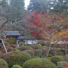 本坊庭園