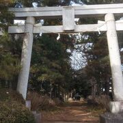 住宅街の中に残る長い参道が特徴的な神社