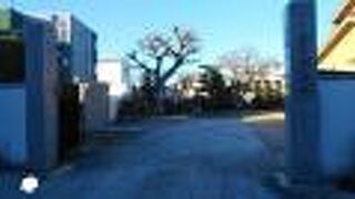 住宅街の中にあり４００年近い歴史を有する寺院