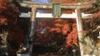 胡宮本宮 (胡宮神社)