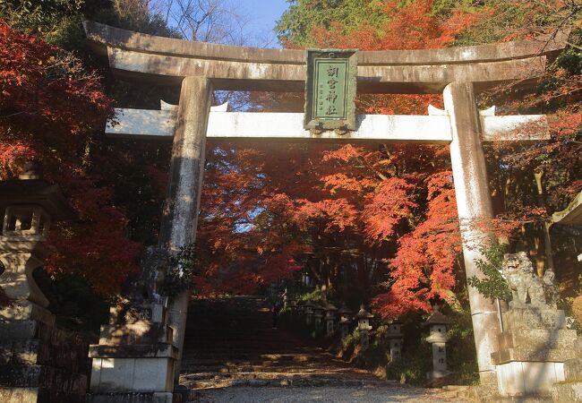 胡宮本宮 (胡宮神社)