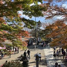 阿夫利神社前の広場