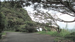 皆さん、一斉になびきましょう。