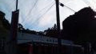 明るくお客様を迎えてくださる海産物専門店