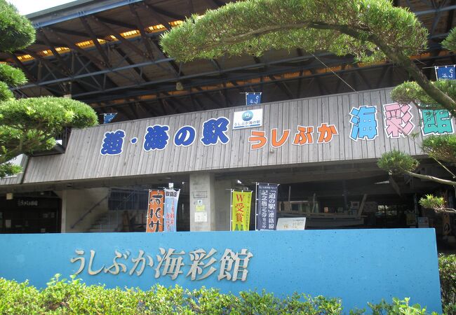 大きな建物、でもお店は少なく。