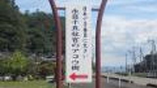 これは必見の大木です。