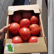 沢山野菜を買いました。