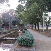 県立行田公園 クチコミ アクセス 営業時間 船橋 習志野 フォートラベル 県立行田公園 クチコミ アクセス 営業時間 船橋 習志野 フォートラベル