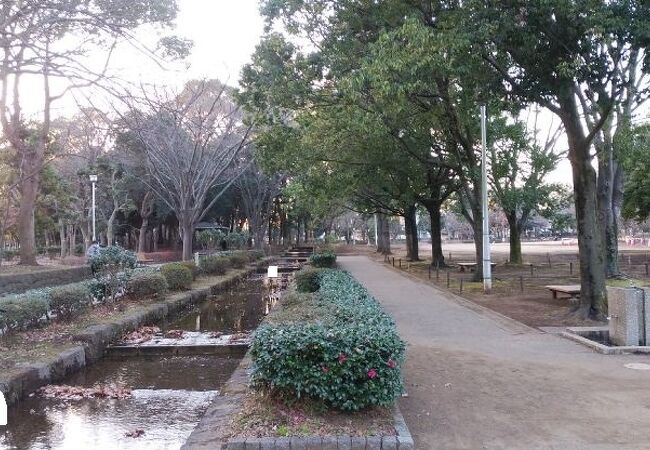 県立行田公園