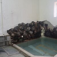 家族風呂(源泉：わたの湯)